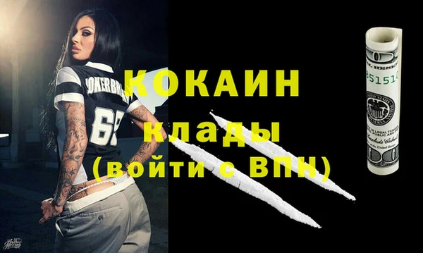 стафф Дмитриев