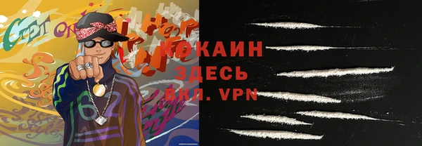 стаф Дмитровск