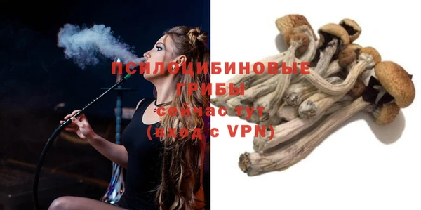 стаф Дмитровск