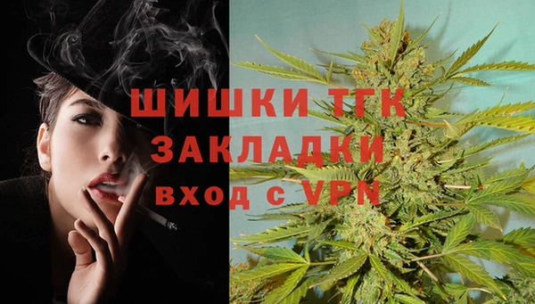 стафф Дмитриев