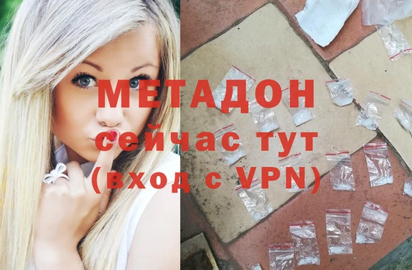 стаф Дмитровск