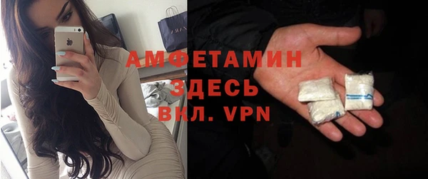 стаф Дмитровск