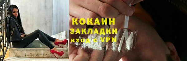 стаф Дмитровск