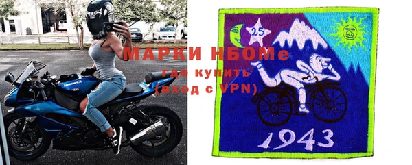 стаф Дмитровск