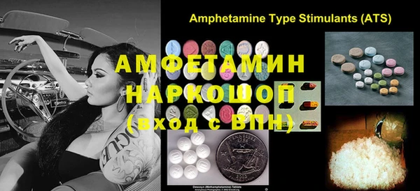 прущие грибы Гатчина